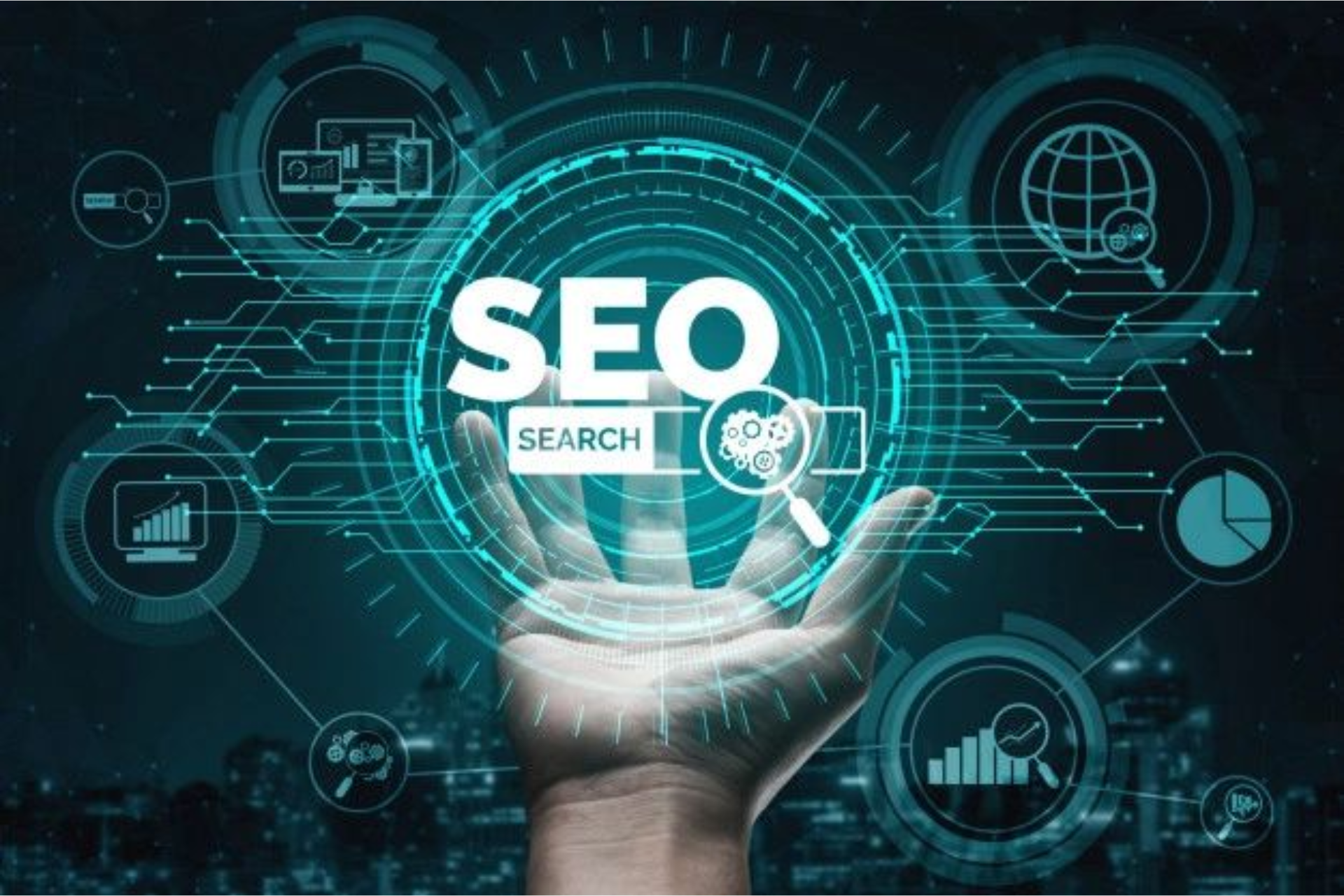 Beginner’s Guide to SEO for Business Websites